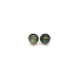 Asst Semiprecious Stone Post Earrings