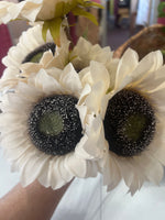 Sunflower Blooming