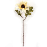 ASST BLACK EYE SUSAN