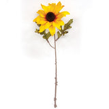 ASST BLACK EYE SUSAN
