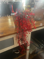 ORANGE HANGING BUSH