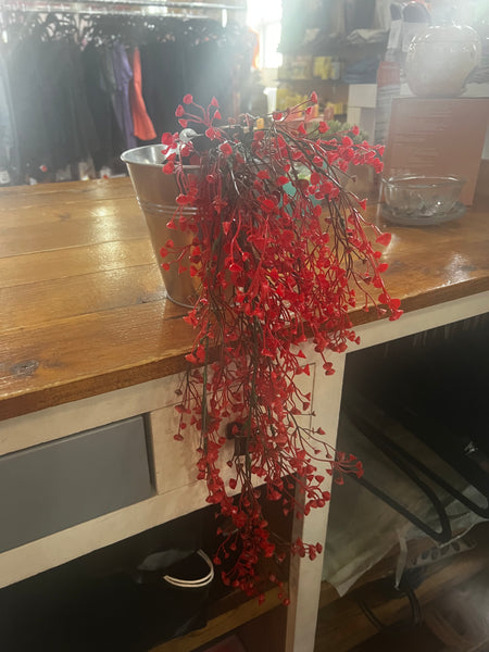 ORANGE HANGING BUSH