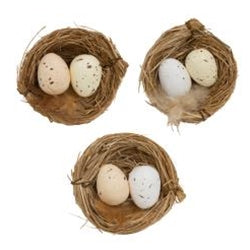 Natural Eggs in Nest