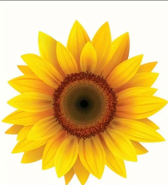 Sunflower Sticker