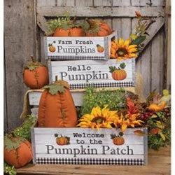 Pumpkin Patch Crates