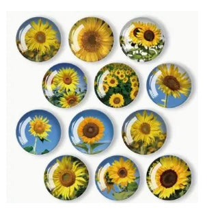 Sunflower Magnet