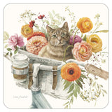 COASTER ASST