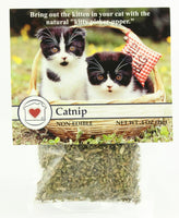 Catnip