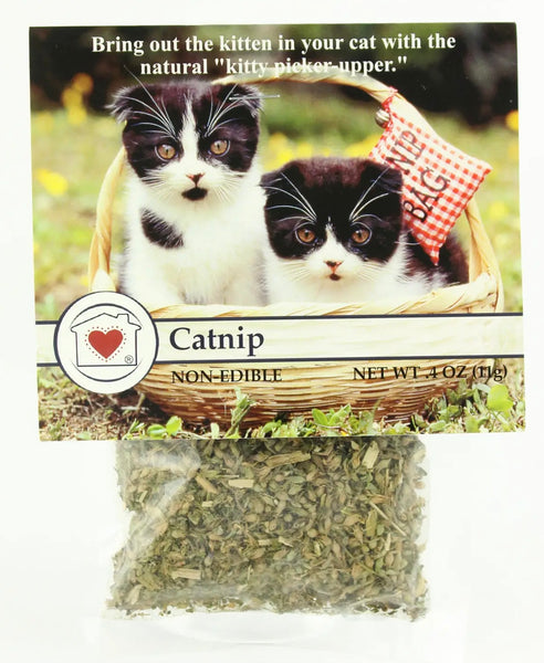 Catnip