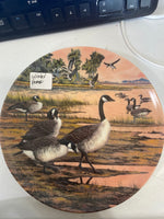 PLATE WILDLIFE